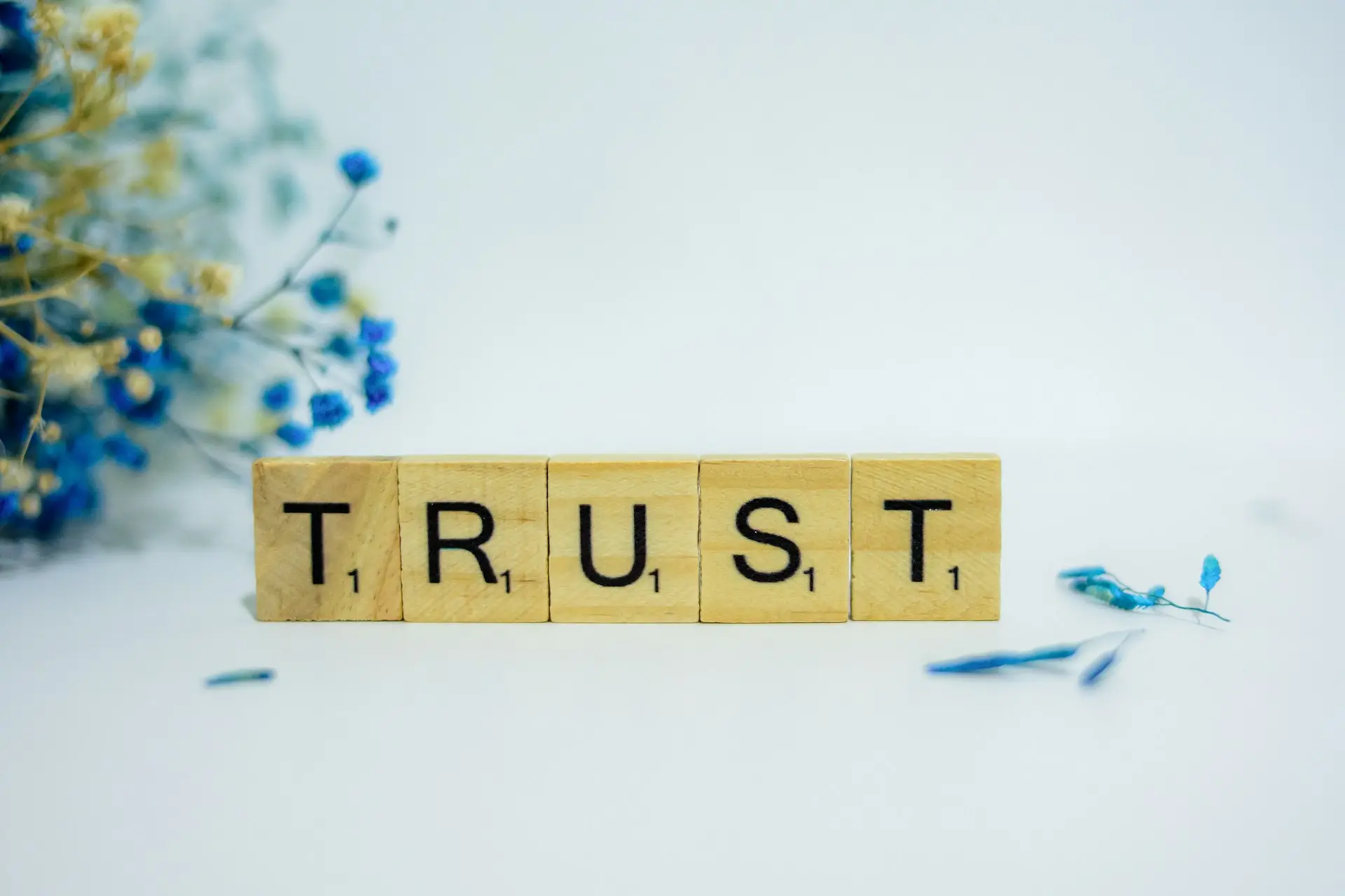Wooden block with the word "TRUST", surrounded by blue accents